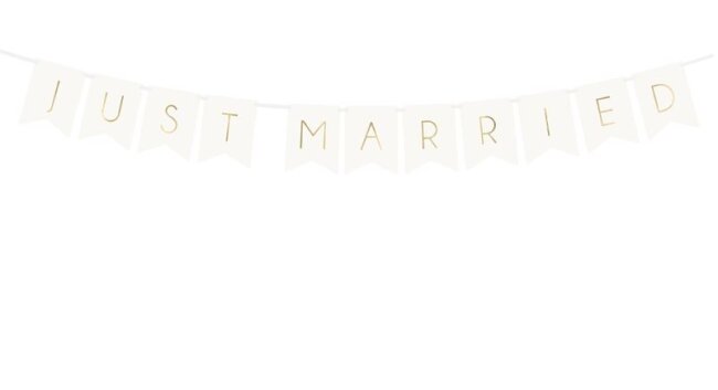 Banner JUST MARRIED weiss