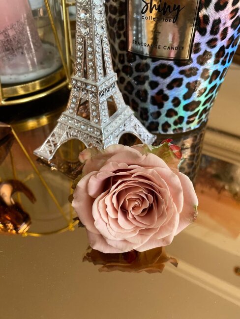 Silica Gel Kristalle zur Blumen- &amp; Bl&uuml;tentrocknung 1800 gr.