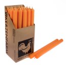 Stabkerzen extra lang apricot 10 Stück Länge 25cm